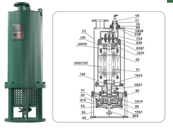 防爆排污泵價格